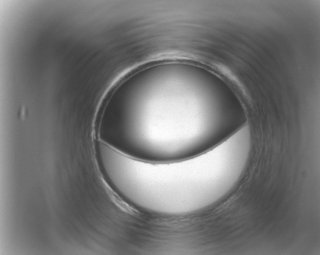 X0000067881372200604131029