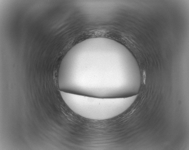 X0000067881395200604131028