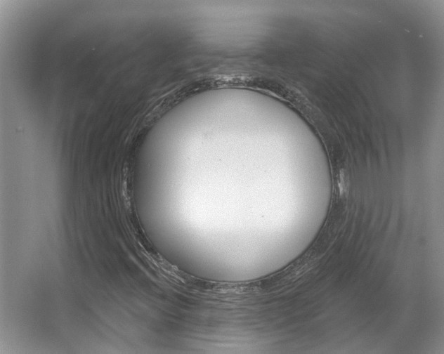 X0000067881396200604131028
