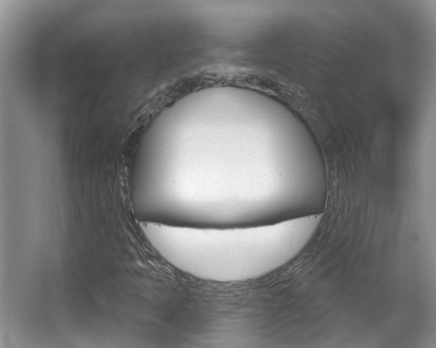 X0000067881397200604131028