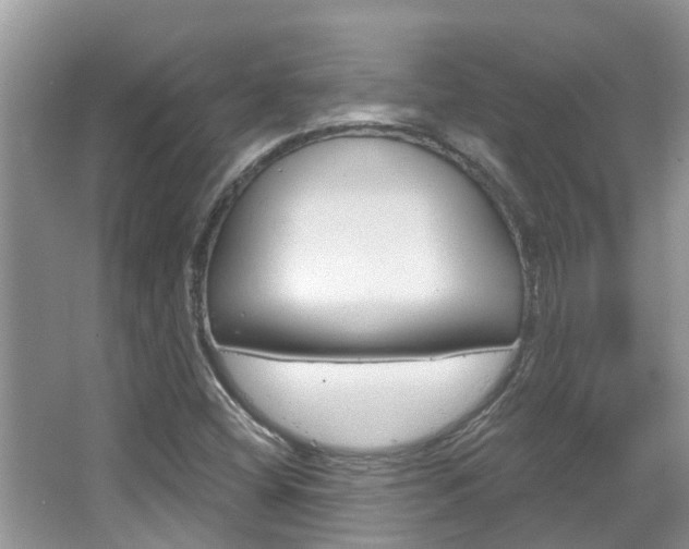 X0000067881404200604131029