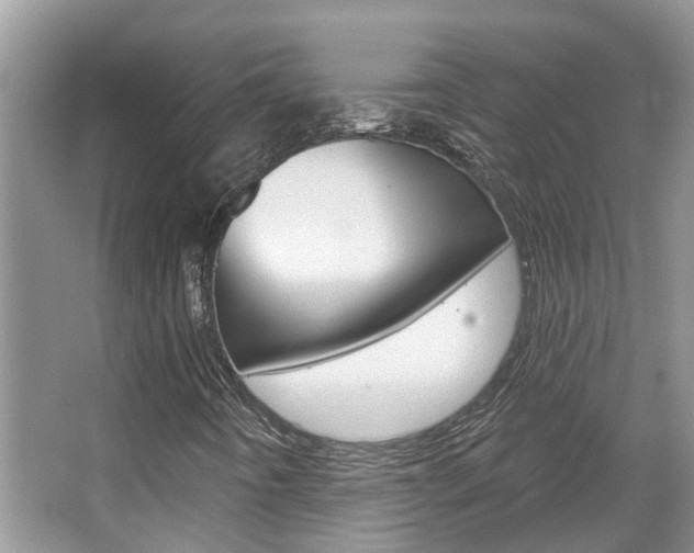 X0000067881442200604131028