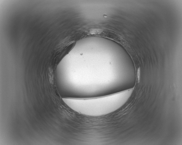 X0000067881443200604131028