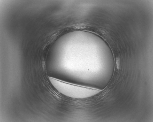 X0000067881444200604131028