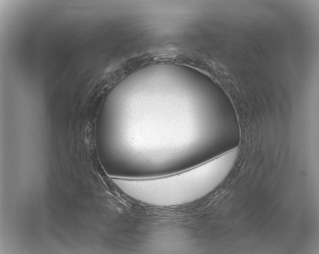 X0000067881445200604131028