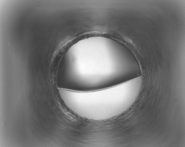 X0000067881448200604131028