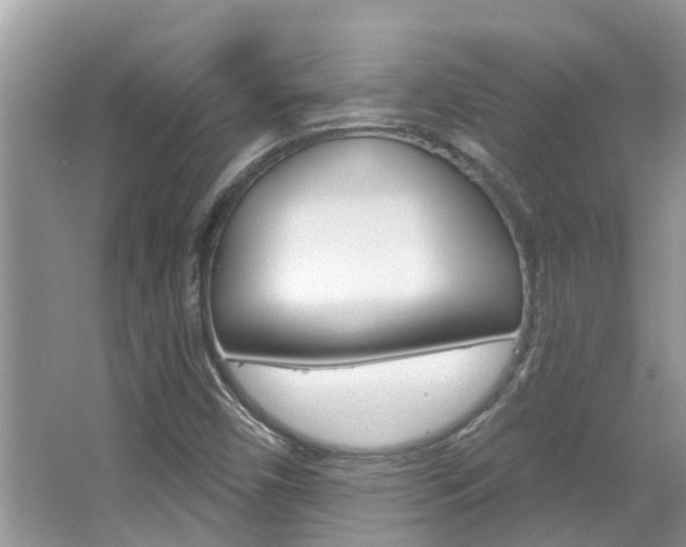 X0000067881450200604131028
