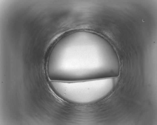 X0000067881452200604131028