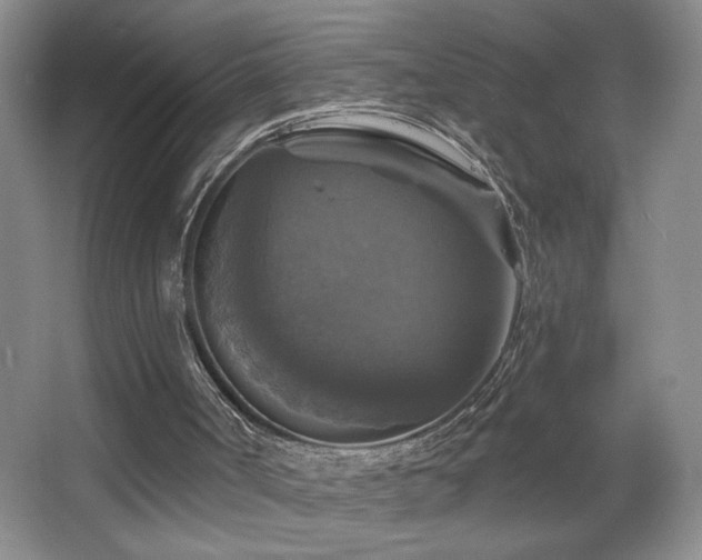 X0000067880002200604131314