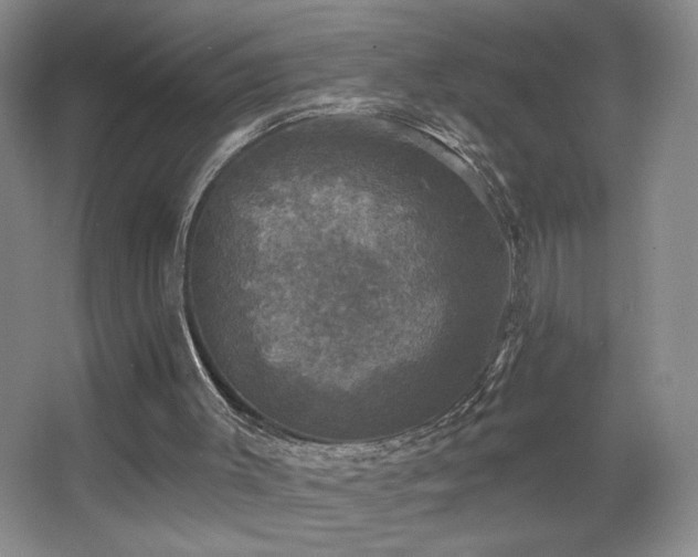 X0000067880003200604131314