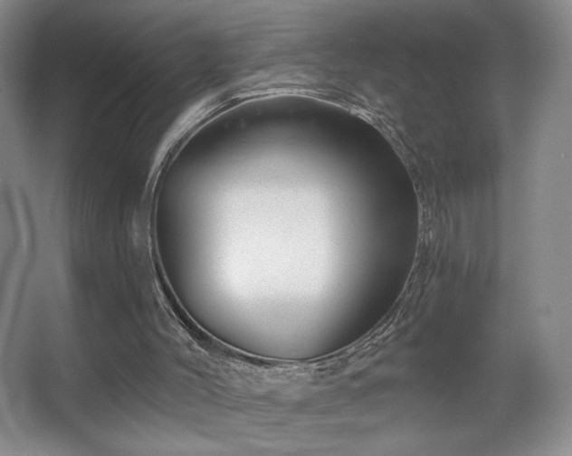 X0000067880004200604131314