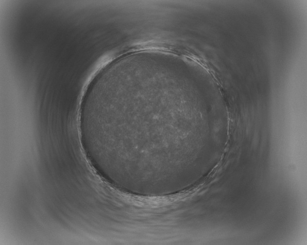 X0000067880006200604131314