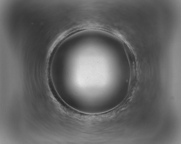 X0000067880007200604131314