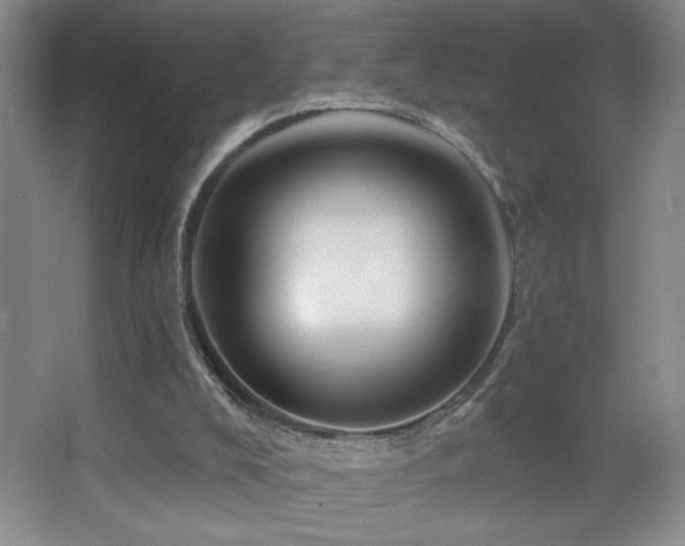 X0000067880008200604131314