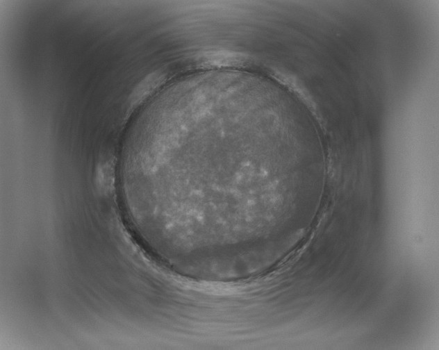 X0000067880010200604131314