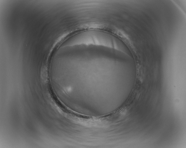 X0000067880012200604131314