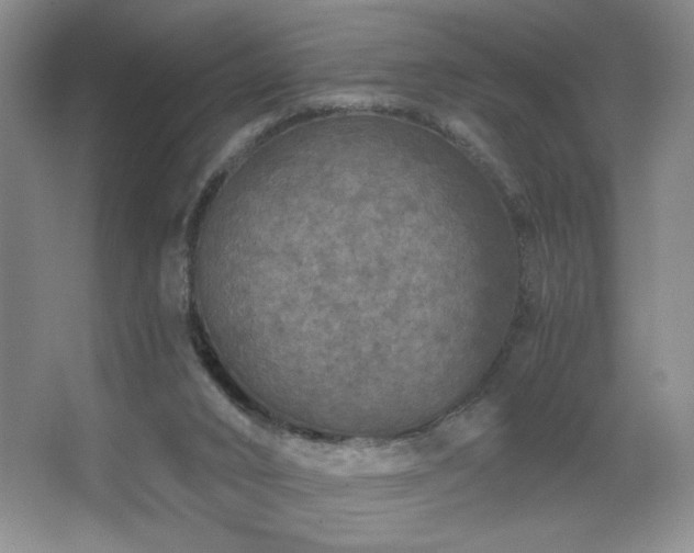 X0000067880016200604131314