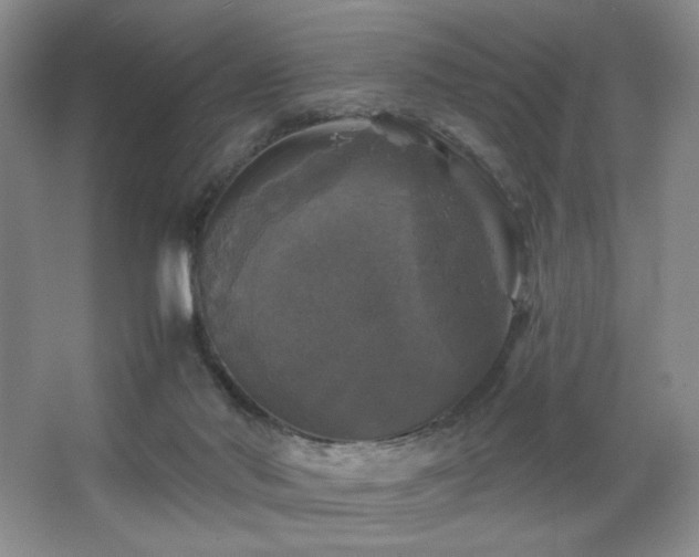 X0000067880022200604131314