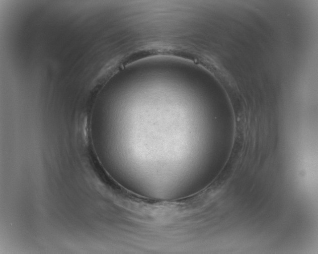 X0000067880024200604131314