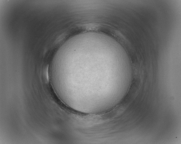 X0000067880028200604131314