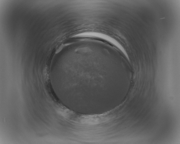X0000067880029200604131314