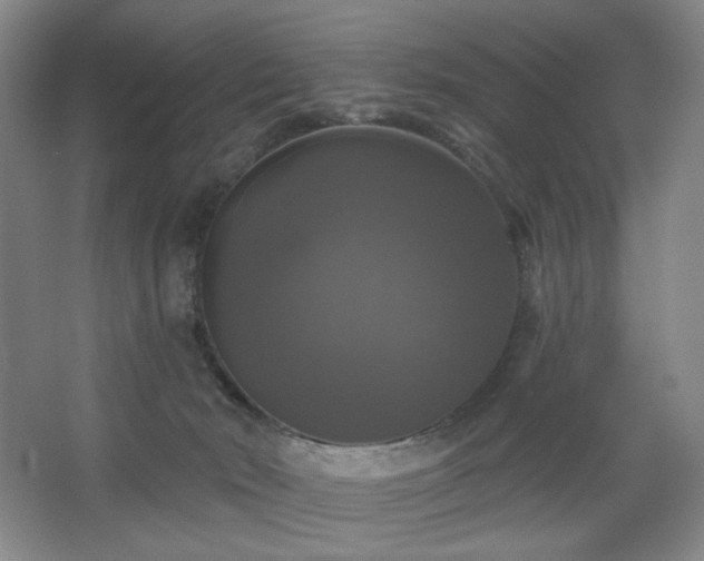 X0000067880030200604131314