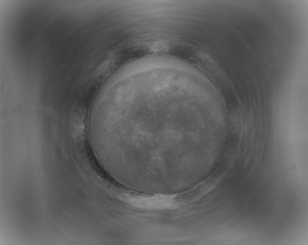 X0000067880032200604131314