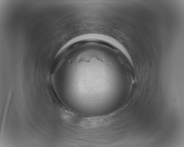 X0000067880033200604131314