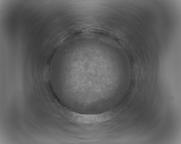 X0000067880034200604131314