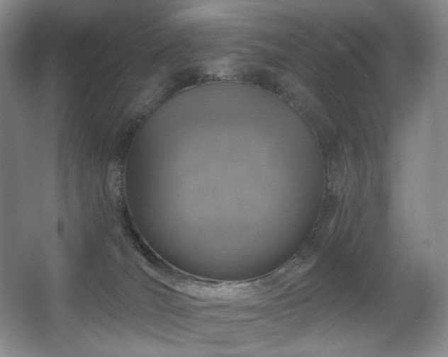 X0000067880036200604131314