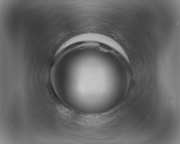 X0000067880037200604131314
