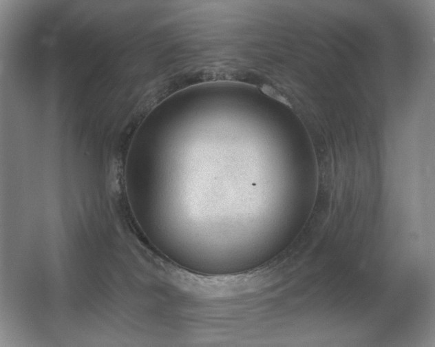 X0000067880038200604131314