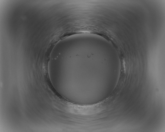 X0000067880039200604131314