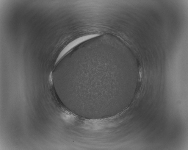X0000067880041200604131314