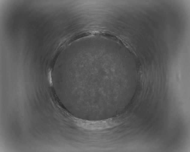 X0000067880042200604131314