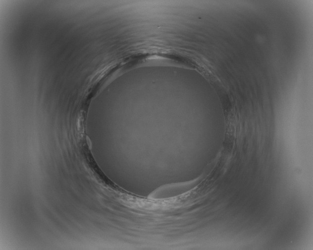 X0000067880043200604131314