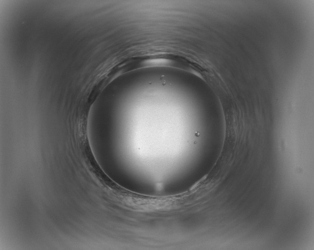X0000067880044200604131314