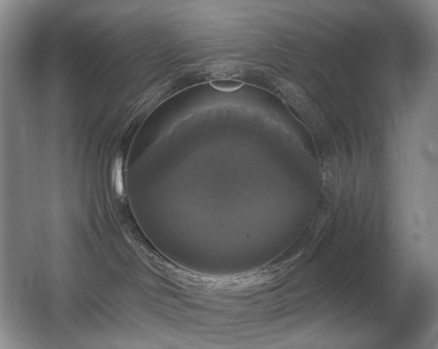 X0000067880046200604131314
