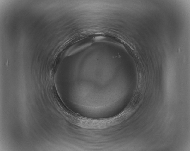 X0000067880048200604131314