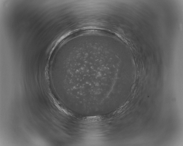 X0000067880050200604131313