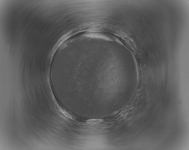 X0000067880051200604131313