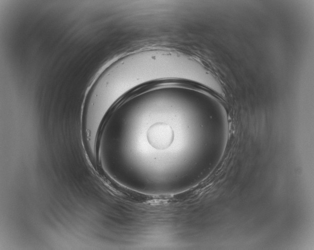 X0000067880052200604131313