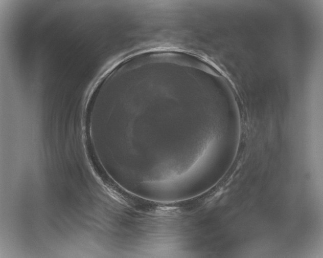 X0000067880055200604131313