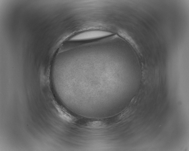 X0000067880058200604131313