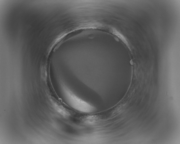 X0000067880059200604131313