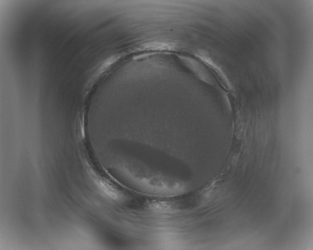 X0000067880062200604131313