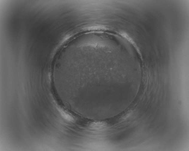 X0000067880063200604131313