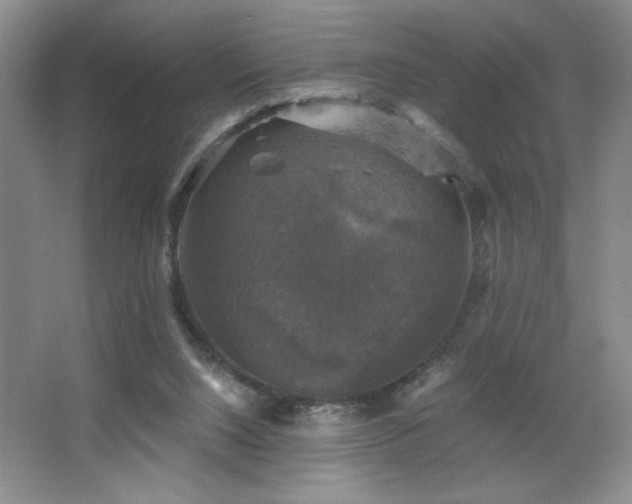 X0000067880064200604131313