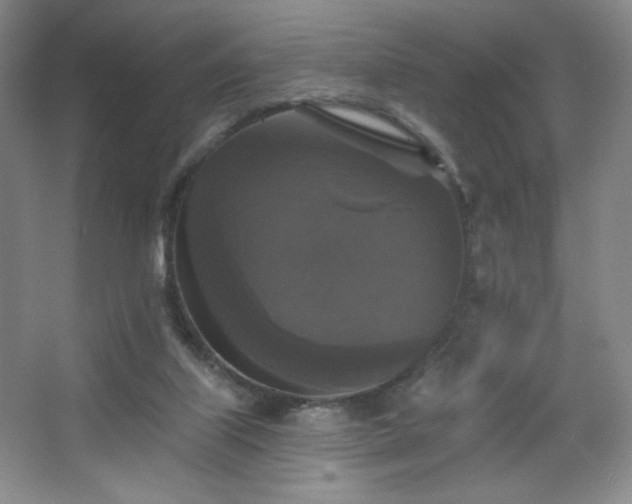 X0000067880067200604131313