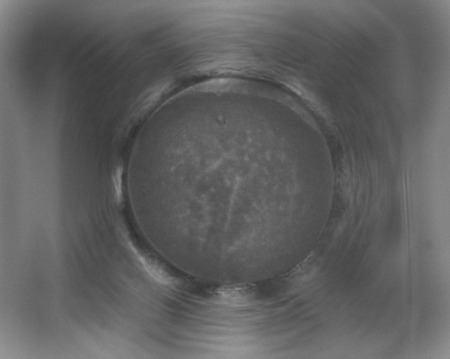 X0000067880070200604131313